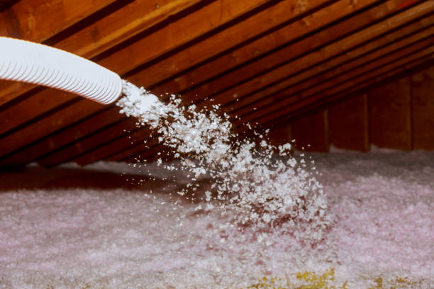 Best Cellulose Insulation in Borden, IN