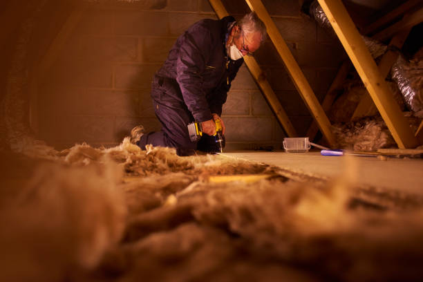 Best DIY Insulation Kits and Guidance in Borden, IN